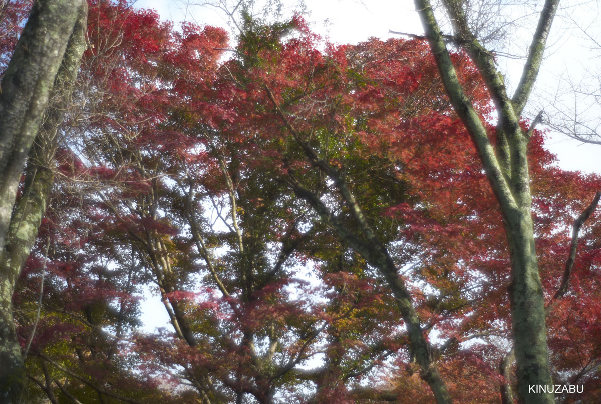 Photo01
