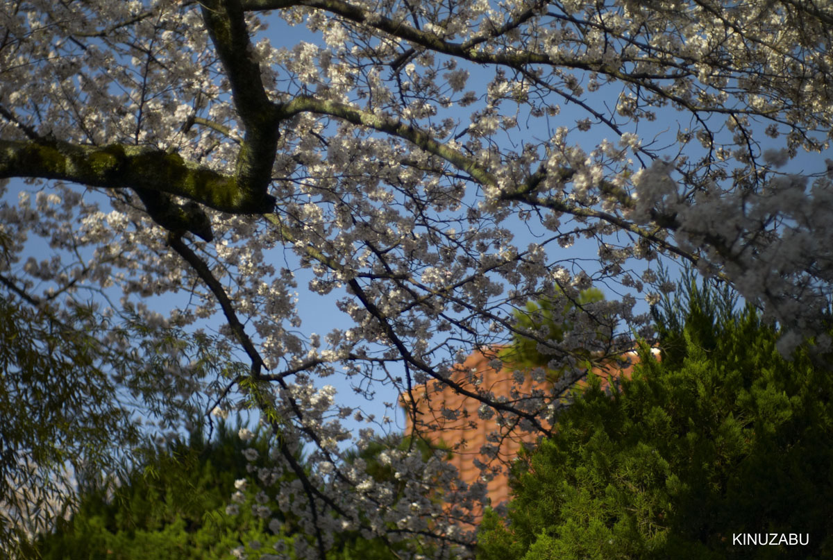 kyoto