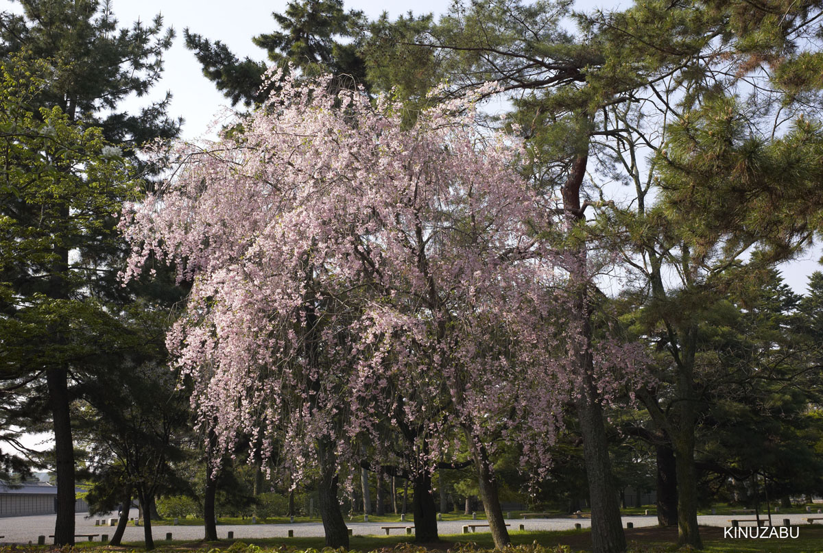 kyoto