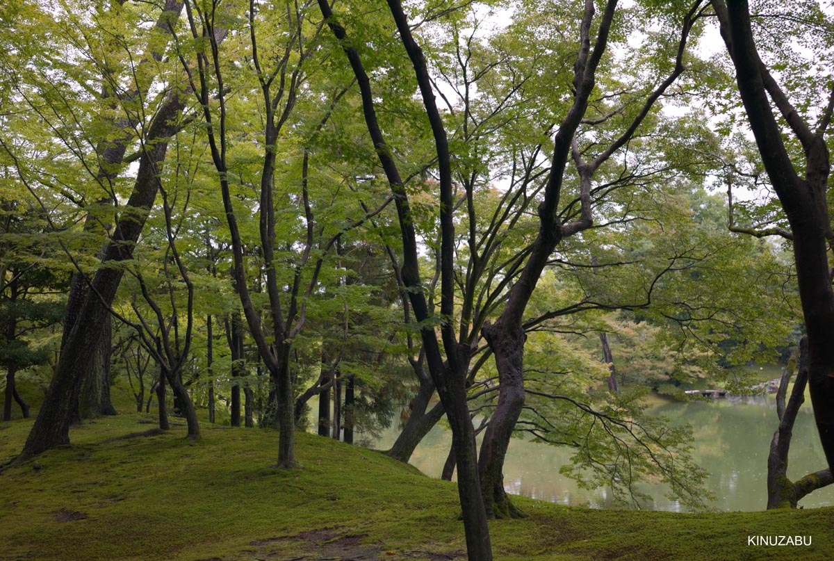 京都、仙洞御所参観