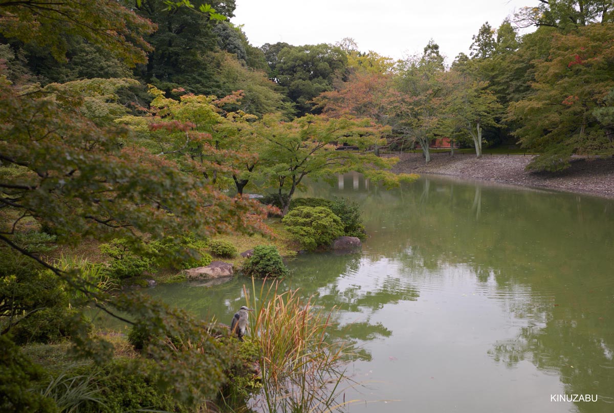 京都、仙洞御所参観