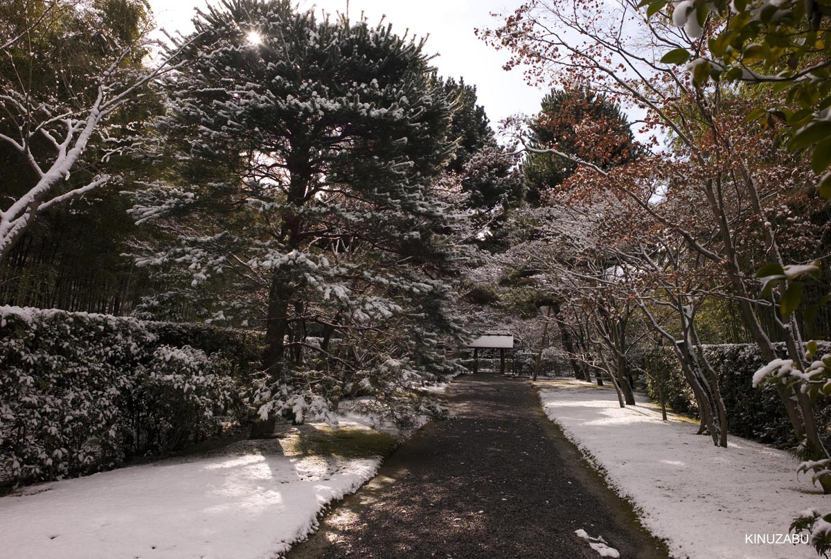 雪の桂離宮