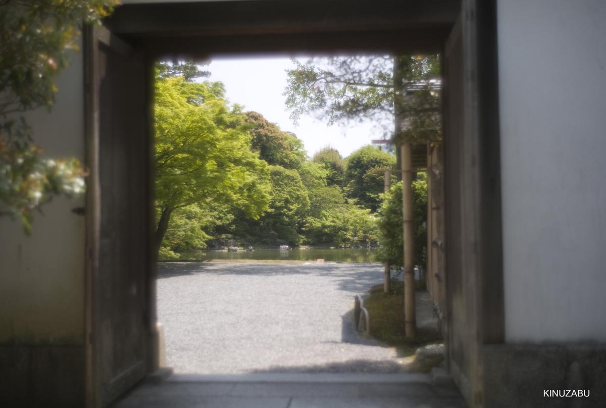 新緑の仙洞御所