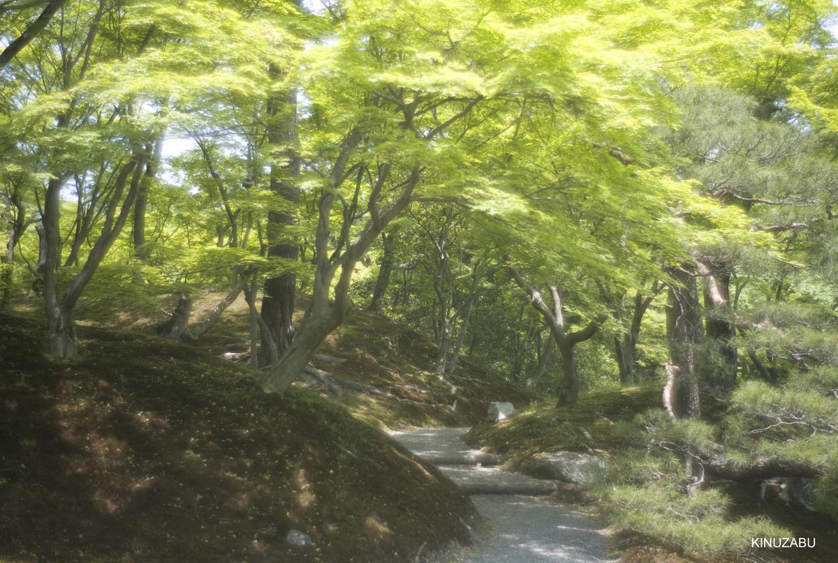 仙洞御所　参観　京都　宮内庁　京都御苑　新緑　5月