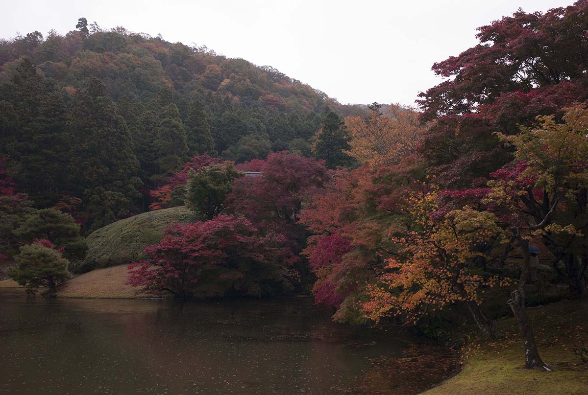 2012年修学院離宮の紅葉