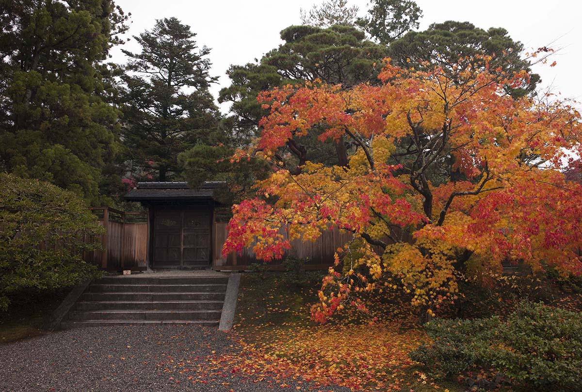 2012年修学院離宮の紅葉