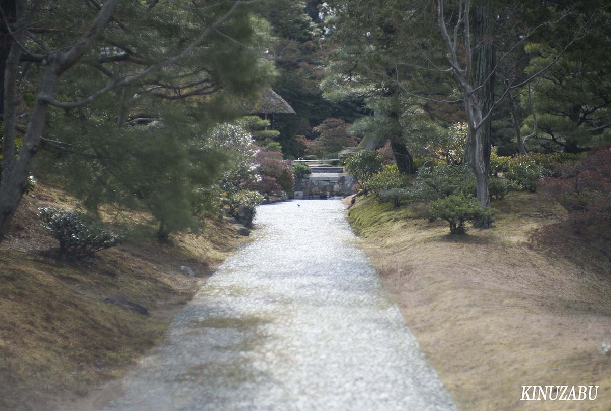 桂離宮参観、京都