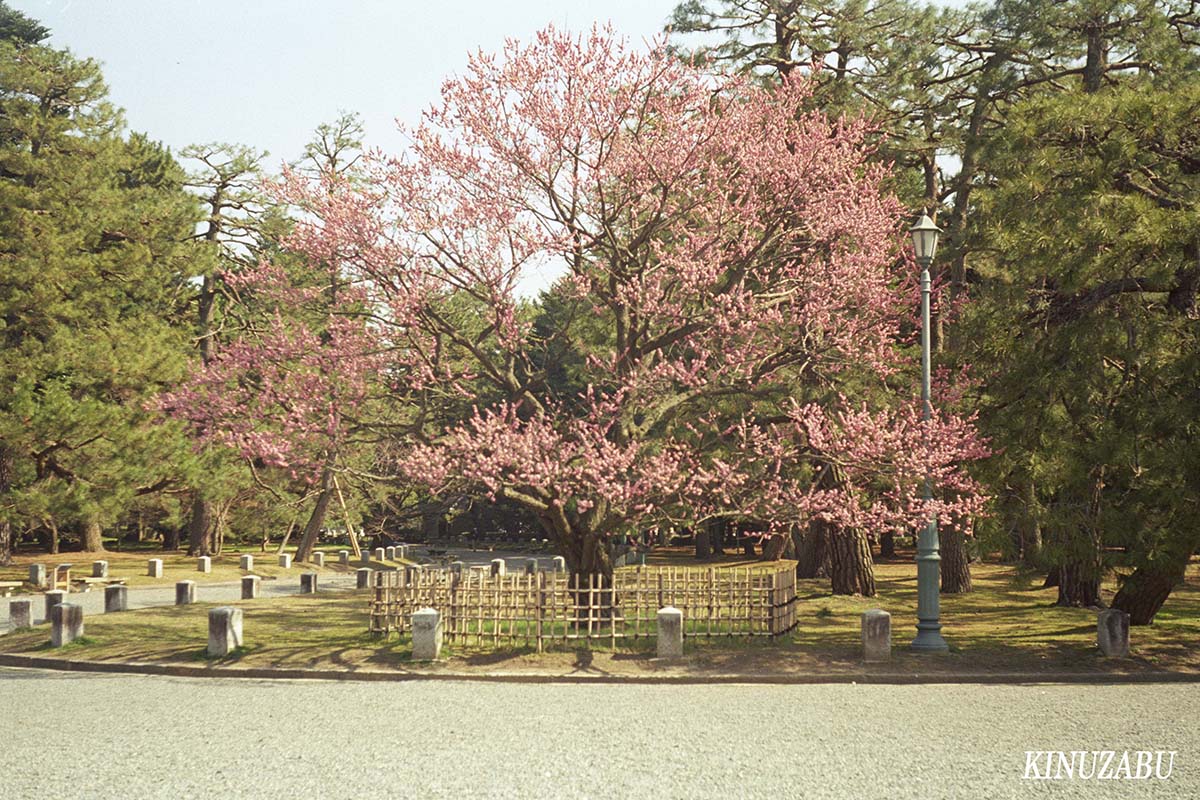 kyoto