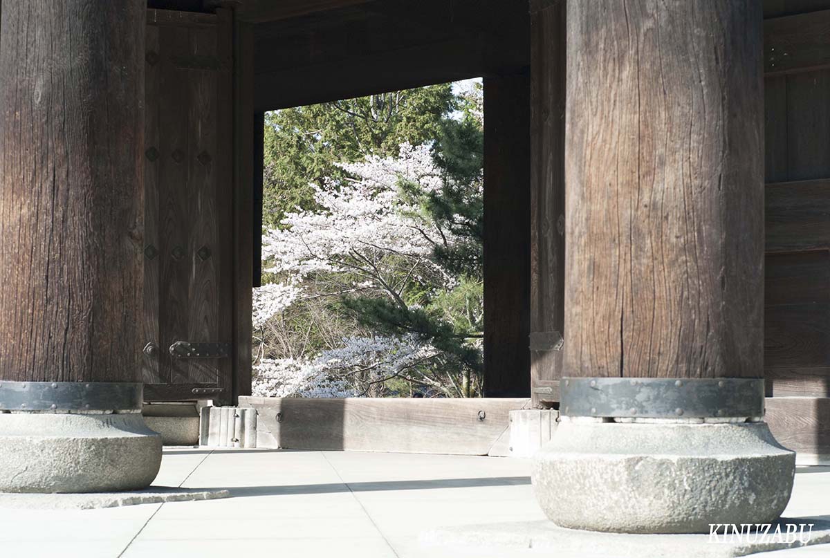 京都の桜：インクライン、南禅寺、野村美術館裏