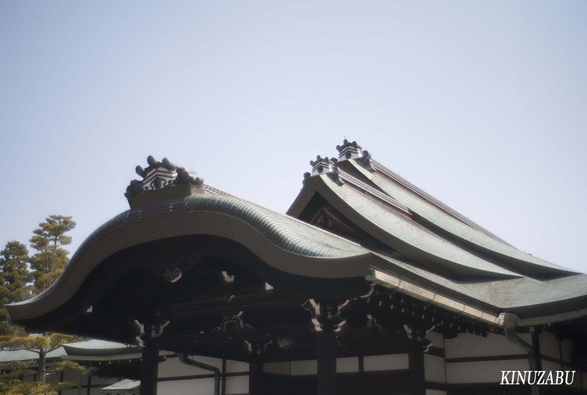 桜の仙洞御所、京都