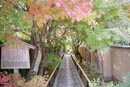 京都鷹峯光悦寺2013