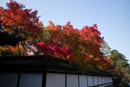京都南禅寺永観堂紅葉2016