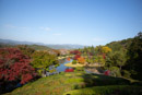 2020年の京都の紅葉