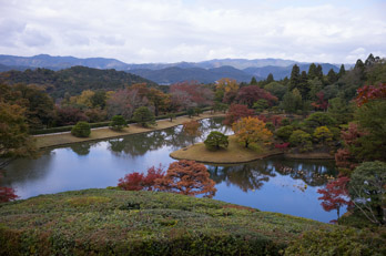 2023年の京都の紅葉