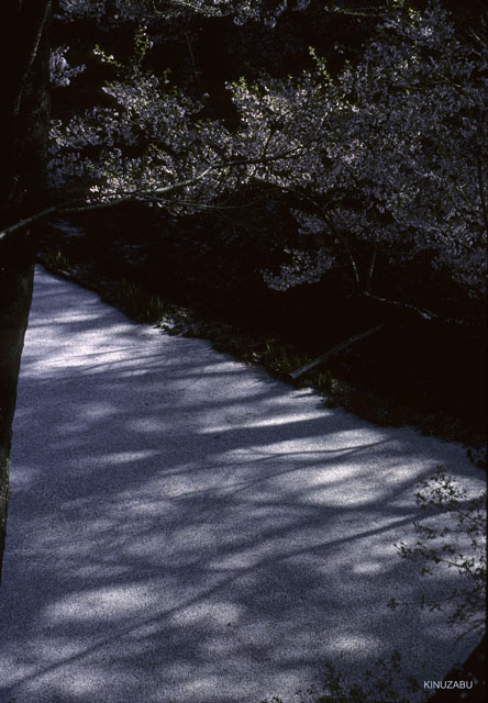 photo09