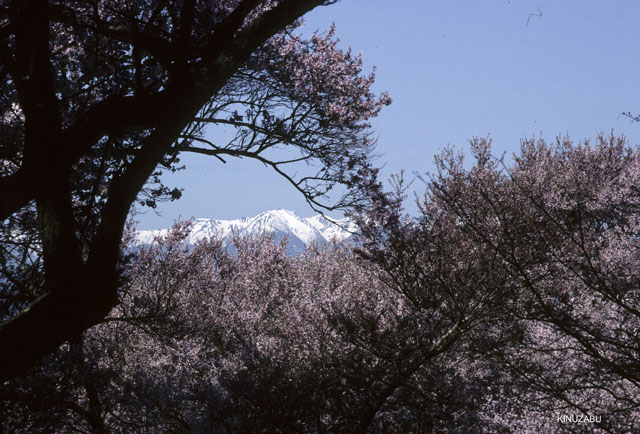 photo10