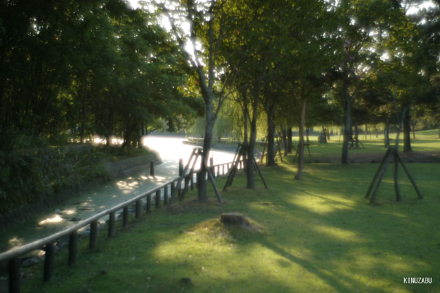 photo03