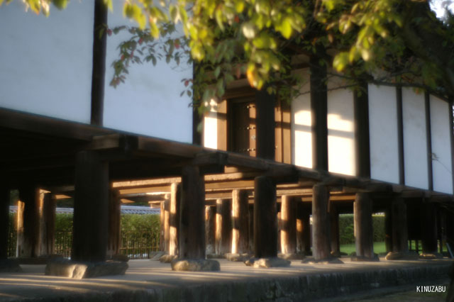 photo06