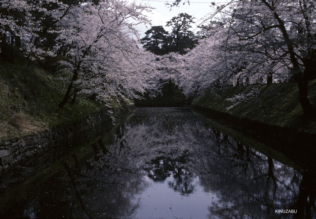 photo07