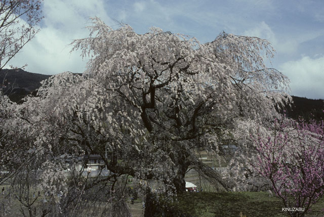 photo08